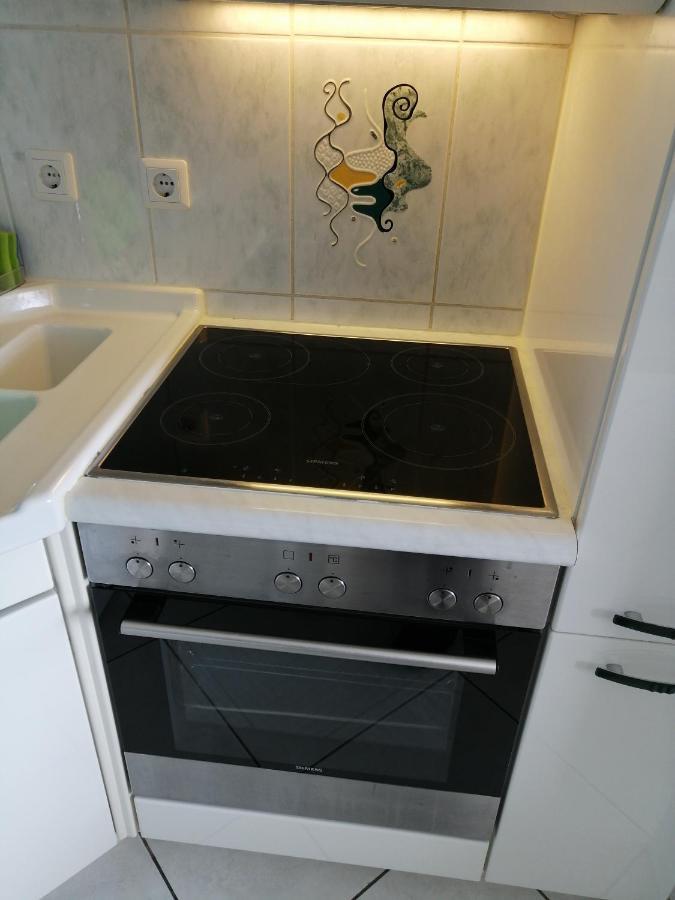 Grosses Panorama Apartment Бинген-на-Рейне Экстерьер фото